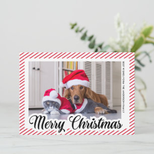 Red Modern Calligraphy Pet Foto Frohe Weihnachten