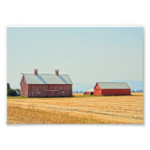 Red Montana Barns