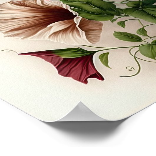 Red Morning Gloriage Blume Art Print Poster (Ecke)