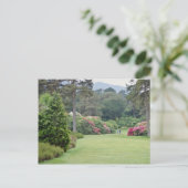 Red Muckross House Gardens, Irland Blume Postkarte (Stehend Vorderseite)