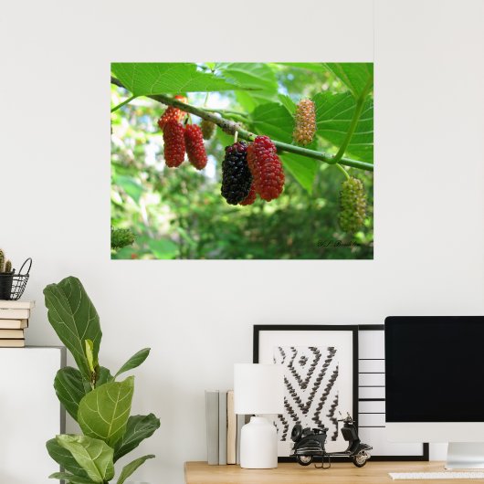 Red Mulberries Poster (Heimbüro)