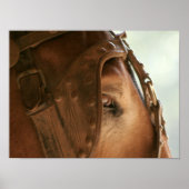 Red Mule - Augenplakat Poster (Vorne)