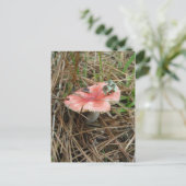 Red Mushroom #1 OBX Postkarte (Stehend Vorderseite)