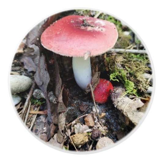 Red Mushroom Fairy Ceramic Knob Keramikknauf (Vorderseite)