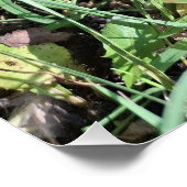 Red mushroom, gnoom pixelart, Pixel Art  Poster (Ecke)