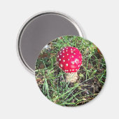 Red mushroom  magnet (Vorderseite/Rückseite)