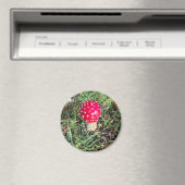 Red mushroom  magnet (In Situ (Geschirrspüler))