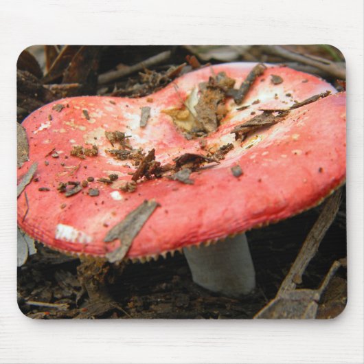Red Mushroom Mousepad (Vorne)