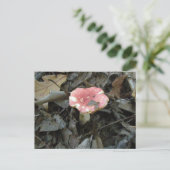 Red Mushroom Postcard Postkarte (Stehend Vorderseite)