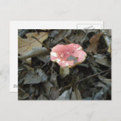 Red Mushroom Postcard Postkarte (Vorne/Hinten)