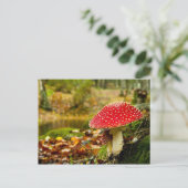Red Mushroom Postkarte (Stehend Vorderseite)