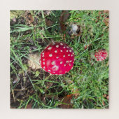 Red mushroom puzzle (Horizontal)
