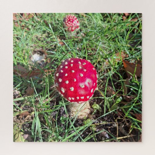 Red mushroom puzzle (Vertikal)