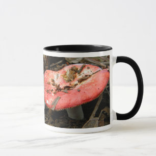 Red Mushroom Tasse
