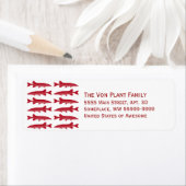 Red Muskie Fish (Insitu)