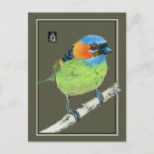 Red-Necked Tanager Bird Postkarte (Vorderseite)