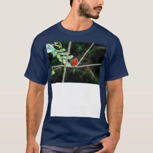 Red North Kardinal TShirt