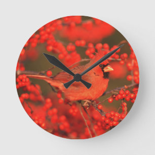 Red Northern Cardinal Male, IL Runde Wanduhr