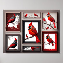 Red Northern Kardinal Bird Poster