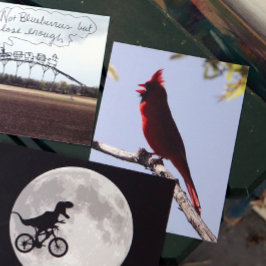 Red Northern Kardinal Bird Postkarte