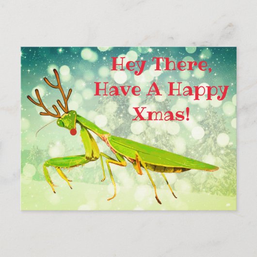 Red Nosed Beten Mantis Merkwürdige Weihnachtspostk Postkarte (Vorderseite)