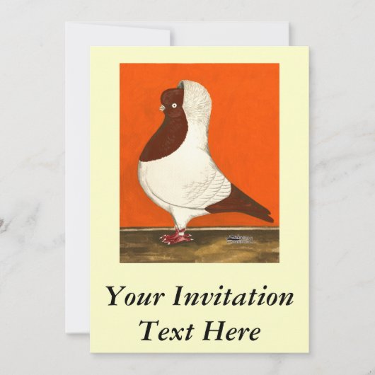 Red Nun Pigeon Einladung (Vorderseite)