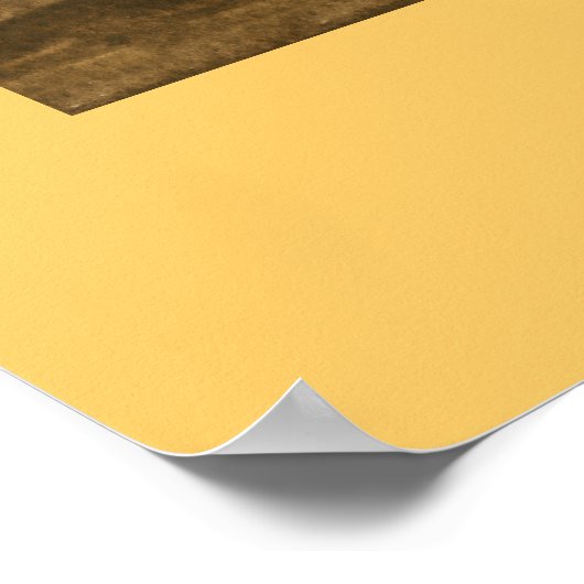 Red Nun Pigeon Poster (Ecke)