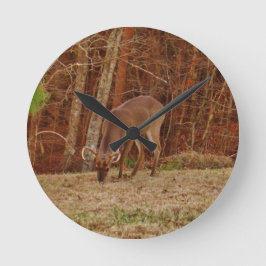 Red Oak Camouflage Stag Buck Deer Feeding Runde Wanduhr