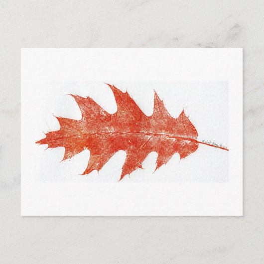 "Red Oak Leaf #2" Landstraßen Postkarte (Vorderseite)