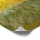 Red oder Green Tractor Retirement Poster (Ecke)