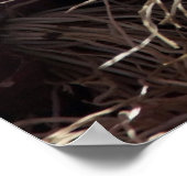 Red Onions Poster (Ecke)