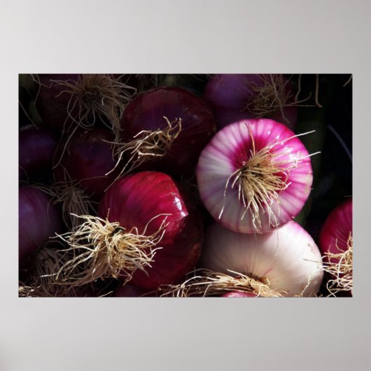 Red Onions Poster (Vorne)