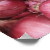 Red Onions Poster (Ecke)
