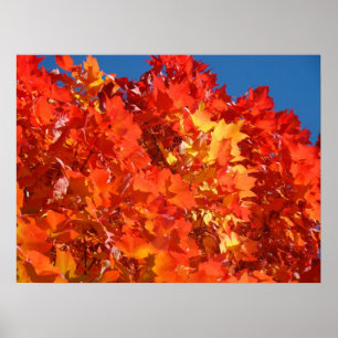 Red Orange Autumn belässt Fine Art Prints Red Poster