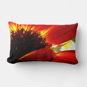 Red Orange Gerbera Daisy Foto Bold Modern Stylish Lendenkissen