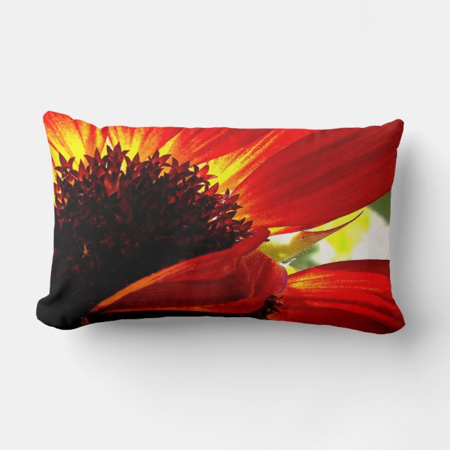 Red Orange Gerbera Daisy Foto Bold Modern Stylish Lendenkissen (Vorderseite)