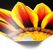 Red Orange Kiss Golden Flame Gazanias Fotodruck (Ecke)