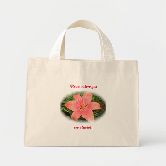 Red Orange Lily Bloom, wo Sie gepflanzt Tasche (Vorne)