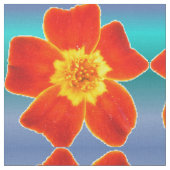 Red Orange Marigold Blume Blaues Hintergrundmuster Stoff (Nahaufnahme)