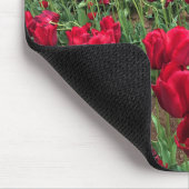 Red & Orange Tulip Field, Oregon Mousepad (Ecke)