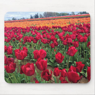Red & Orange Tulip Field, Oregon Mousepad