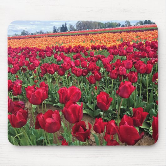 Red & Orange Tulip Field, Oregon Mousepad (Vorne)
