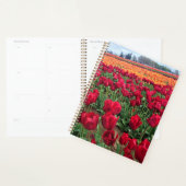 Red & Orange Tulip Field, Oregon Planer (Anzeige)