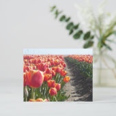 Red Orange Tulips DIY Postkarte (Stehend Vorderseite)
