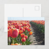 Red Orange Tulips DIY Postkarte (Vorne/Hinten)