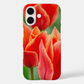 Red Orange Tulips iPhone 16 Case  (Rückseite)
