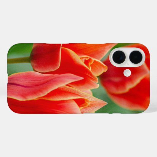 Red Orange Tulips iPhone 16 Case  (Rückseite (Horizontal))