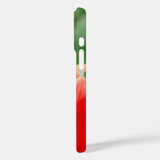 Red Orange Tulips iPhone 16 Case  (Rückseite / Links)