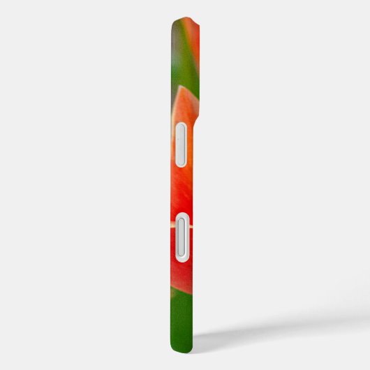 Red Orange Tulips iPhone 16 Case  (Rückseite / Rechts)