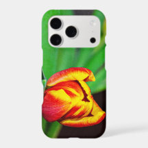 Red Orange Tulips iPhone Case 